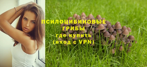 jwh Дмитриев