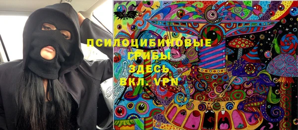 a pvp Дмитров