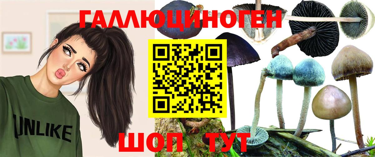 Псилоцибиновые грибы ЛСД  Вход с VPN  Псилоцибиновые грибы GOLDEN TEACHER  Владивосток 