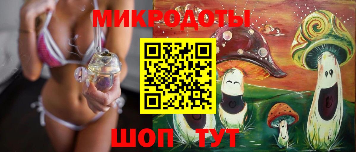 Псилоцибиновые грибы мицелий Владивосток